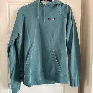 Patagonia Men's Teal Hoodie Sweater